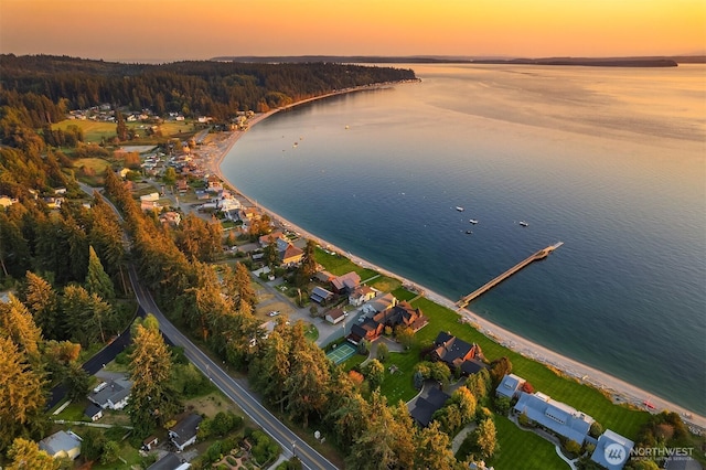 5844 Mutiny Bay Rd, Freeland, WA 98249 - birds eye view of property with a water view and a forest view