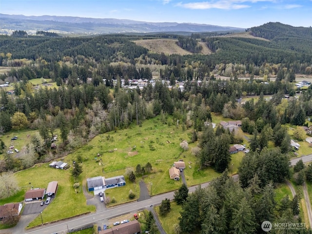 441 W Elma Hicklin Rd, Mccleary, WA 98557