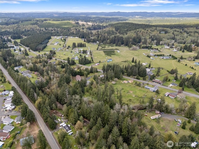 441 W Elma Hicklin Rd, Mccleary, WA 98557
