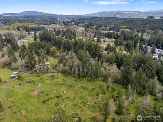 441 W Elma Hicklin Rd, Mccleary, WA 98557