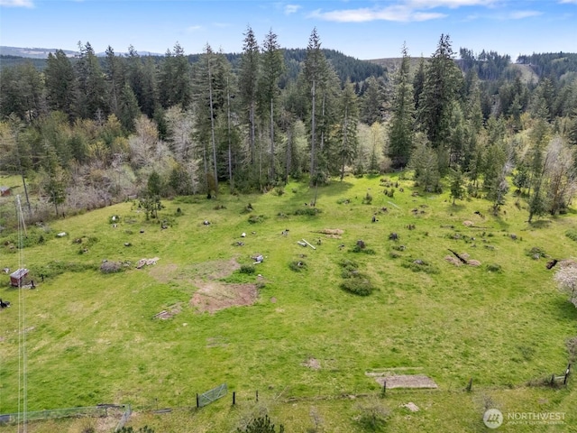 441 W Elma Hicklin Rd, Mccleary, WA 98557