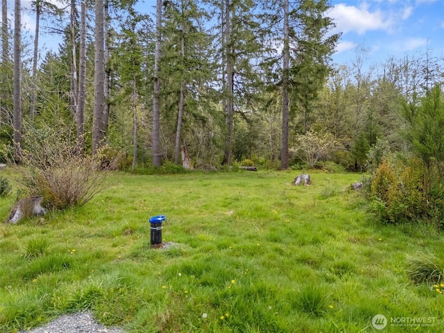 441 W Elma Hicklin Rd, Mccleary, WA 98557