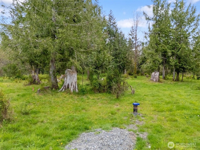 441 W Elma Hicklin Rd, Mccleary, WA 98557