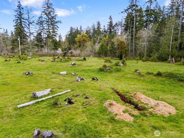 441 W Elma Hicklin Rd, Mccleary, WA 98557