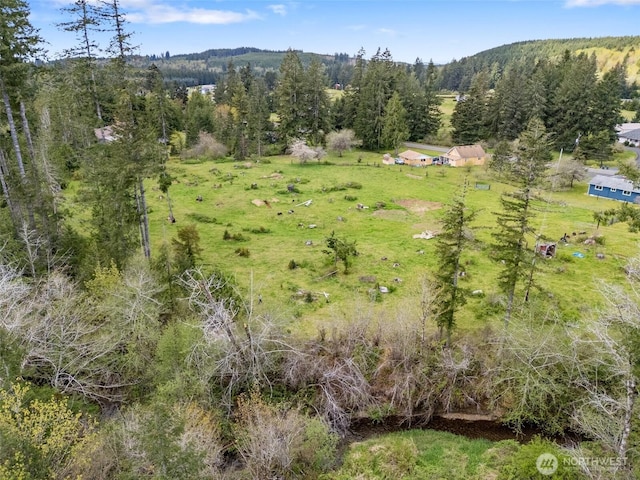 441 W Elma Hicklin Rd, Mccleary, WA 98557