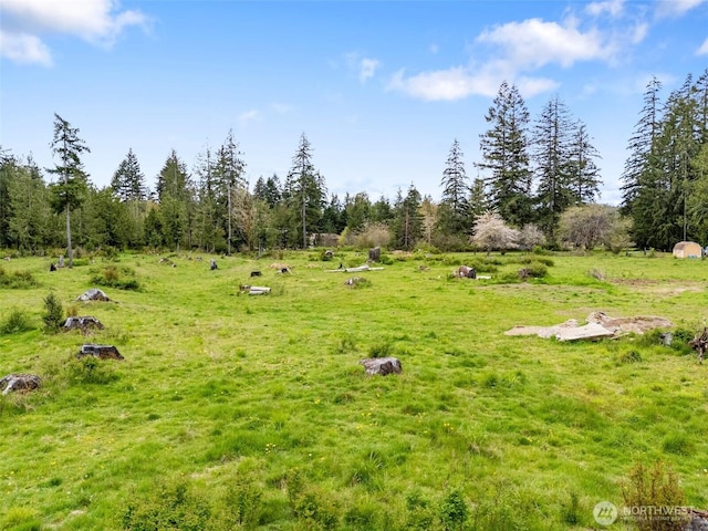 441 W Elma Hicklin Rd, Mccleary, WA 98557