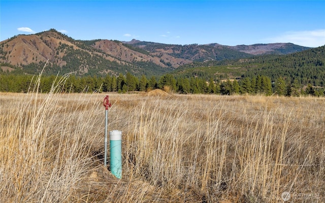 1278 Mountain Creek Dr, Cle Elum, WA 98922