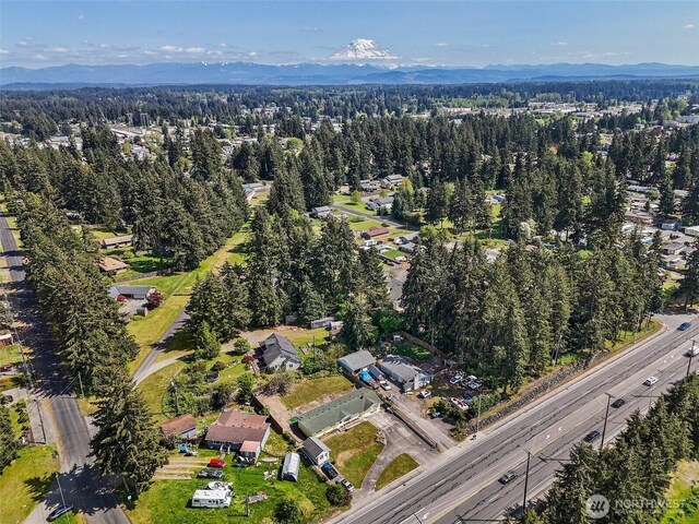 bird's eye view featuring a view of trees and a mountain view