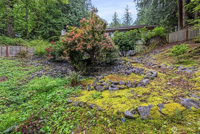 view of yard featuring fence