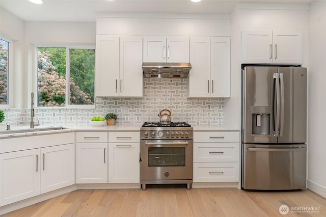 4019B 4th Ave NE, Seattle, WA 98105 - kitchen featuring exhaust hood, backsplash, a sink, light countertops, and stainless steel appliances