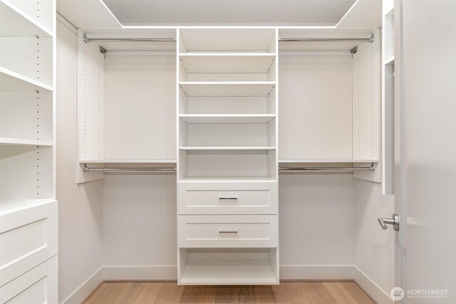 4019B 4th Ave NE, Seattle, WA 98105 - walk in closet featuring light wood-type flooring