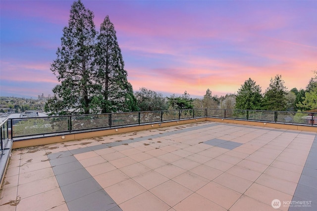 4019B 4th Ave NE, Seattle, WA 98105 - patio terrace at dusk with fence