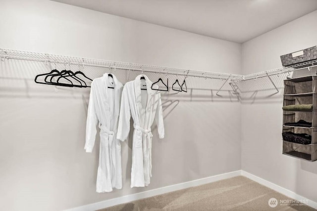spacious closet with carpet floors
