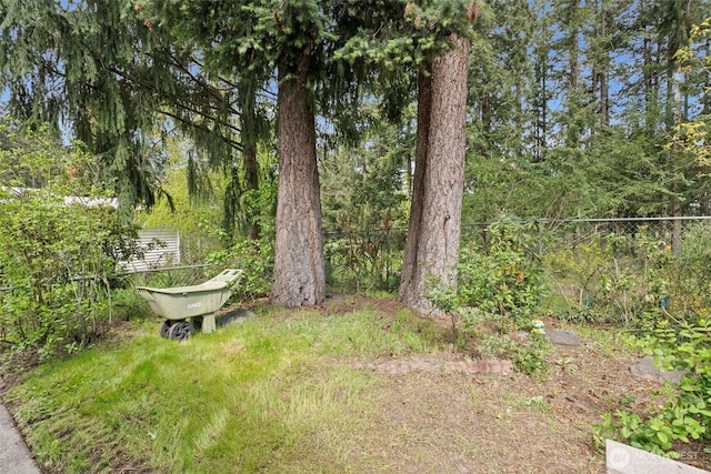 view of yard featuring fence