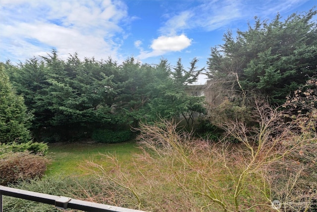 7924 212th St SW Unit 202, Edmonds, WA 98026 - view of landscape