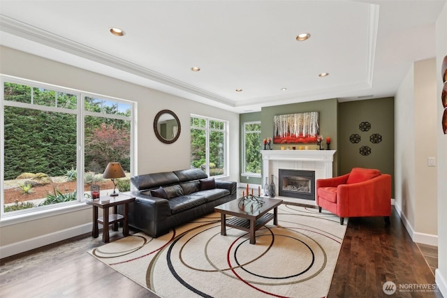 living area with baseboards, a tray ceiling, wood finished floors, and a fireplace