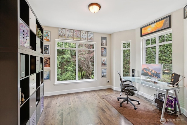office space with baseboards and wood finished floors