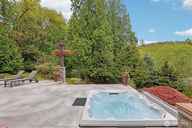 view of swimming pool with a hot tub, a patio area, and a grill