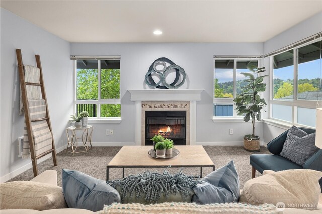 living area with baseboards, carpet, and a fireplace