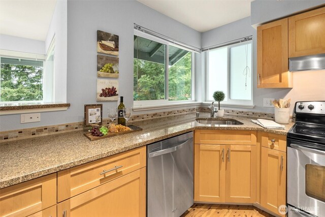 kitchen featuring a sink, under cabinet range hood, a wealth of natural light, and stainless steel appliances