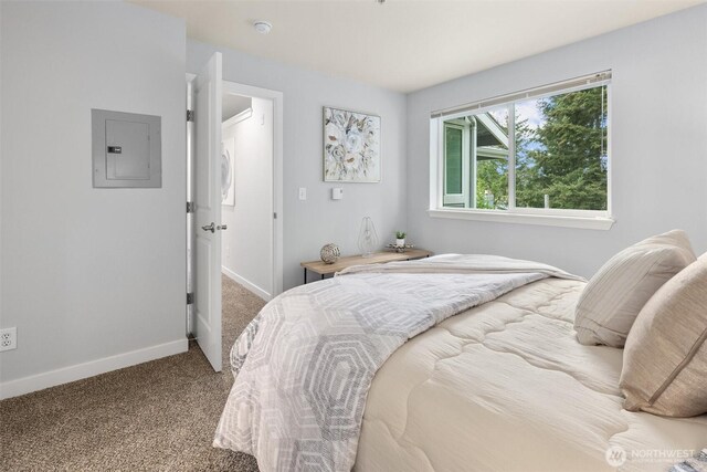 carpeted bedroom featuring baseboards and electric panel