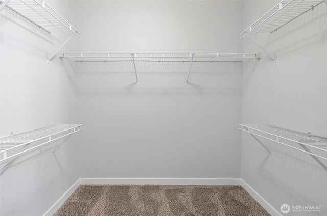walk in closet with carpet