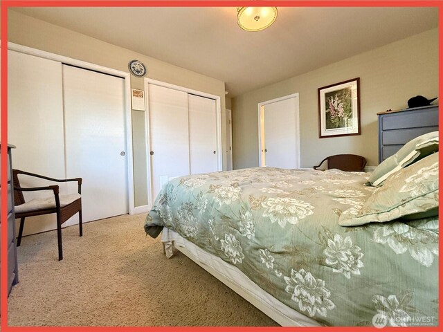 bedroom with multiple closets and carpet floors