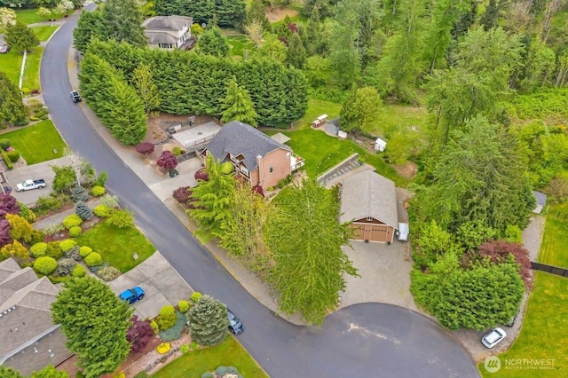 aerial view