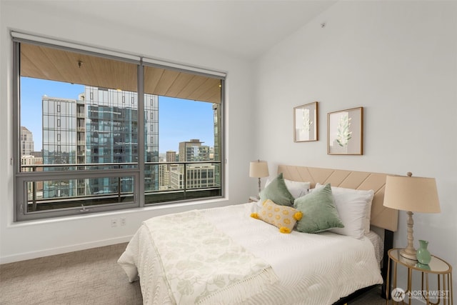 carpeted bedroom with baseboards, a city view, and multiple windows