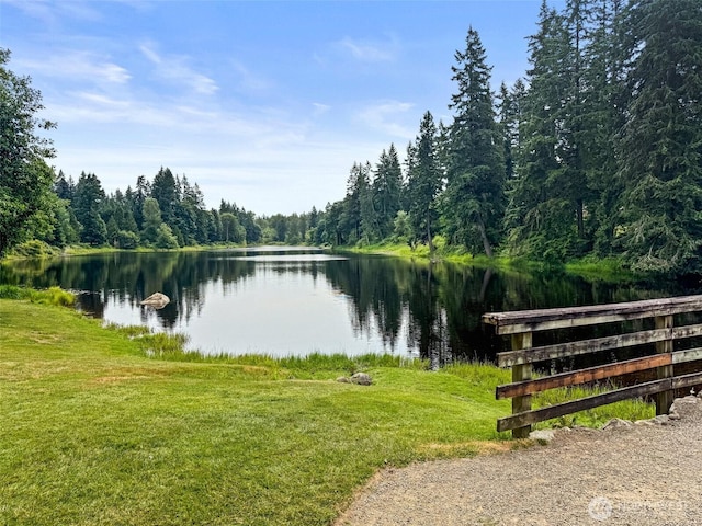 14300 227th Ave NE, Woodinville, WA 98077 - photo 39