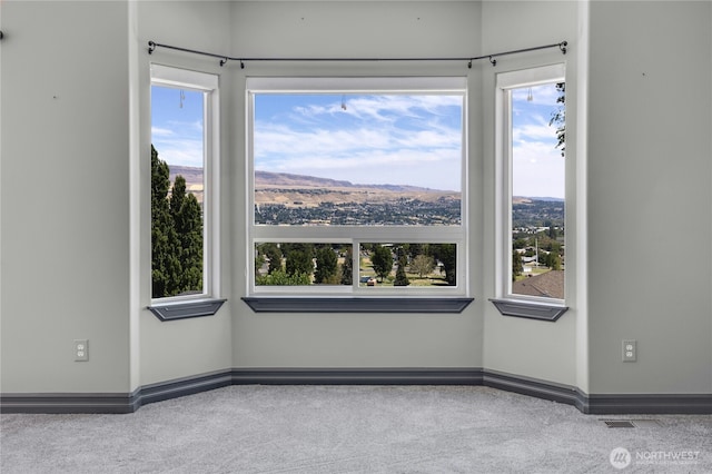 carpeted spare room with baseboards and a wealth of natural light