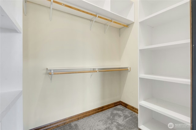 spacious closet featuring carpet flooring