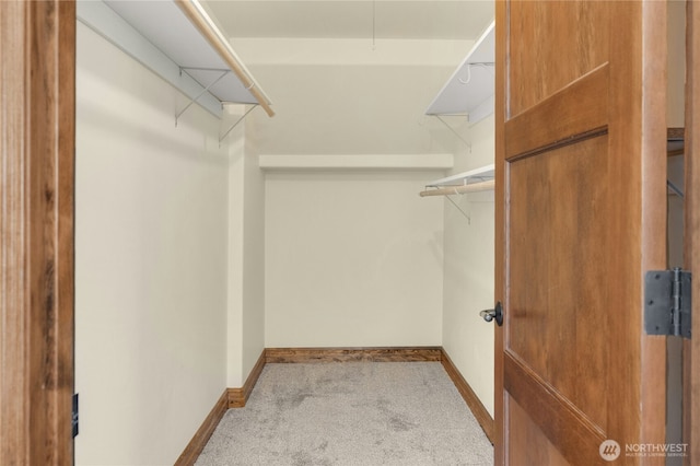 walk in closet with carpet flooring