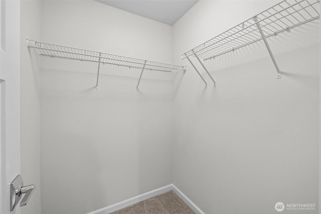 spacious closet with carpet
