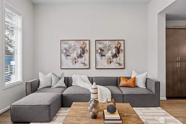 living room featuring a healthy amount of sunlight, baseboards, and wood finished floors
