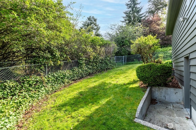 view of yard featuring a fenced backyard