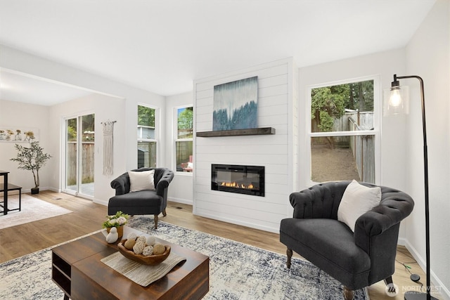 living room with baseboards, wood finished floors, and a large fireplace