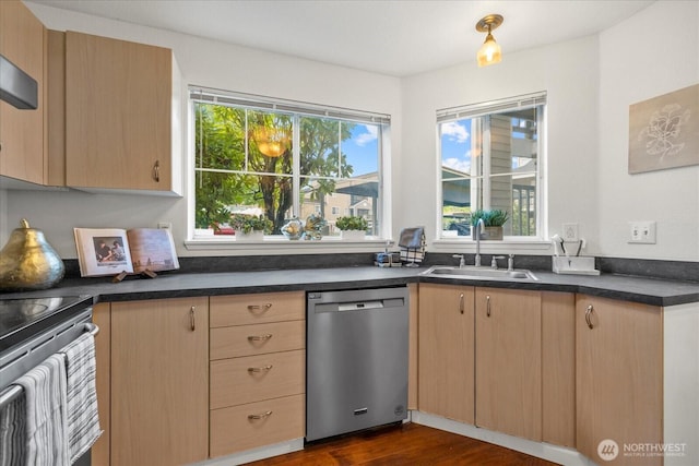 kitchen with a sink, light brown cabinets, and stainless steel dishwasher