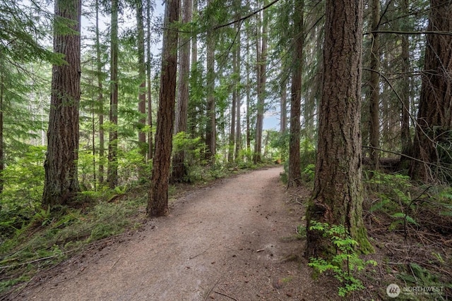 view of road featuring a forest view