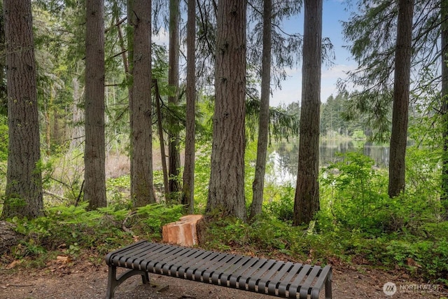 surrounding community with a water view