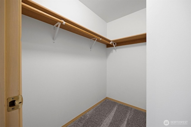 1507 Fruitland Dr, Bellingham, WA 98226 - spacious closet with carpet floors