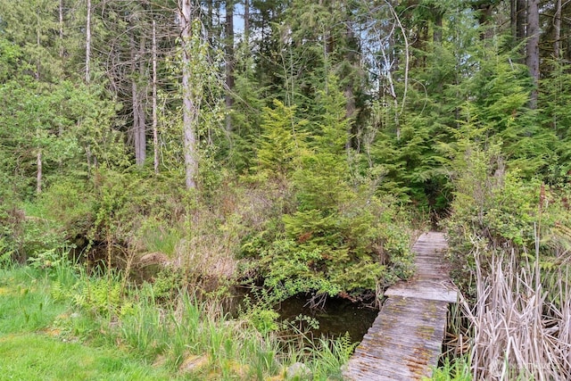 dock area with a forest view