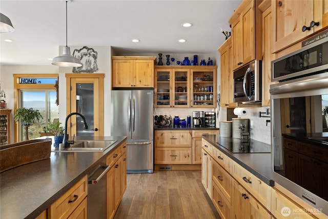kitchen with dark countertops, appliances with stainless steel finishes, a sink, and wood finished floors