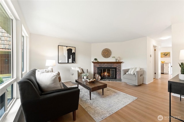 living area featuring baseboards, light wood finished floors, a wealth of natural light, and a fireplace