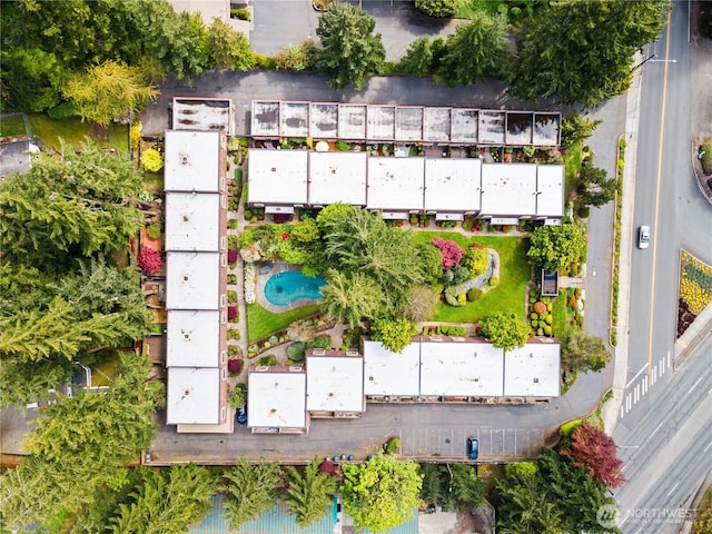 drone / aerial view