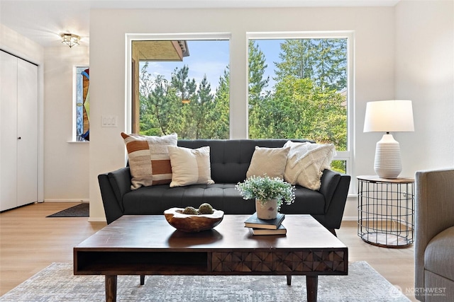 living area featuring baseboards and wood finished floors
