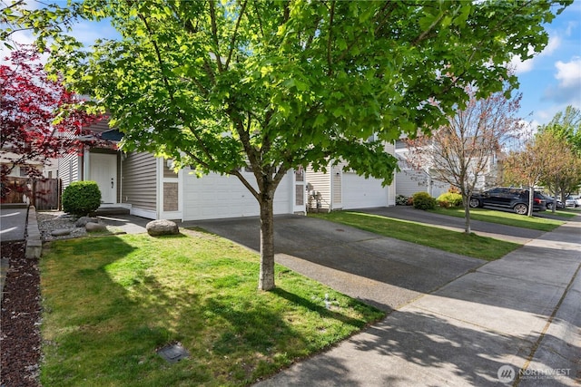 view of property hidden behind natural elements with a garage, aphalt driveway, fence, and a front yard
