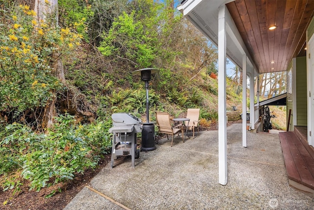 view of patio / terrace featuring area for grilling