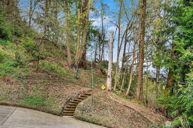 view of yard with stairway