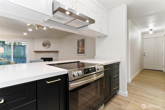 kitchen with dark cabinetry, under cabinet range hood, open floor plan, and stainless steel range with electric stovetop